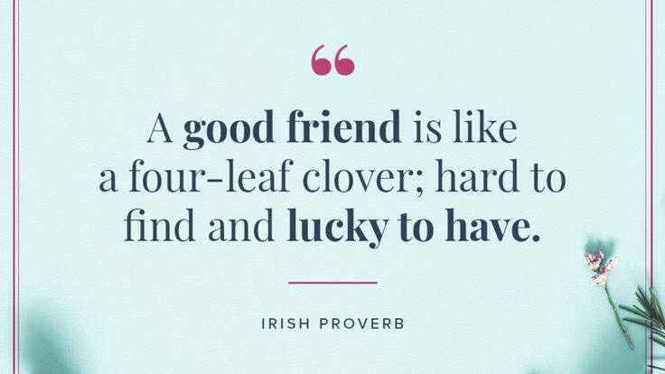 Friendship Quotes in English 