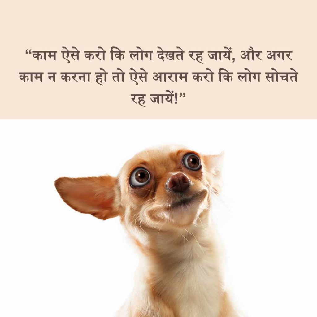 Funny Shayari in Hindi for best friend