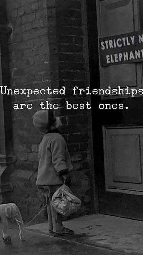 Funny Friendship Quotes in English 