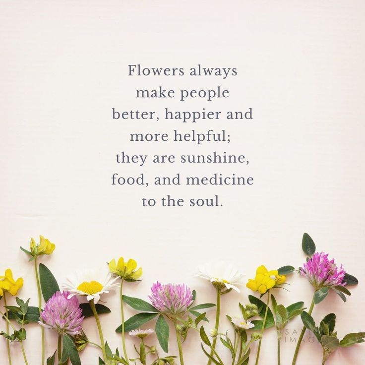 Short Flower quotes